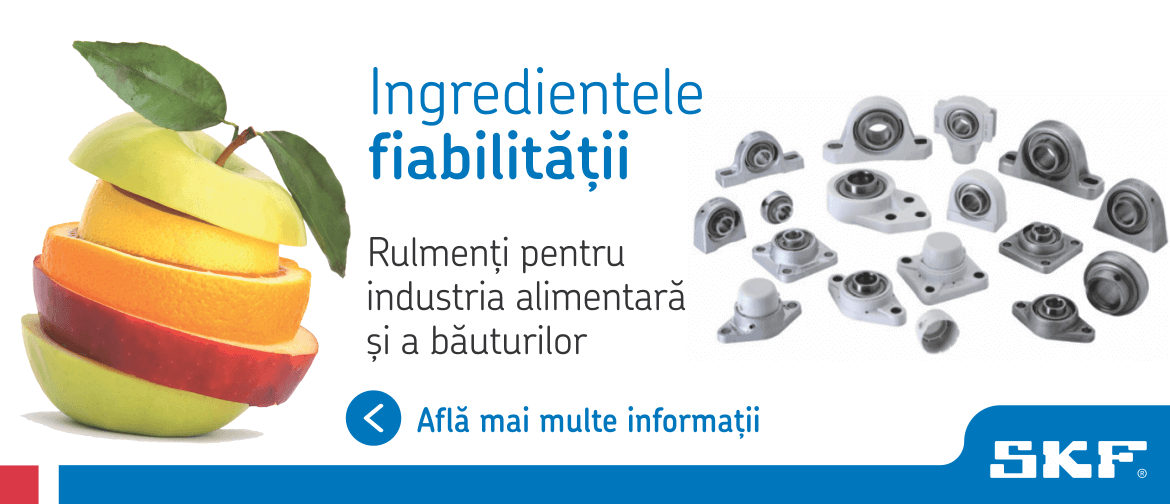 Rulmenti Suedia117